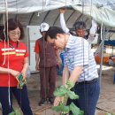 열매농장 이미지