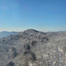 대신카프라자 | 용평리조트 모나용평 발왕산 케이블카 눈꽃 여행