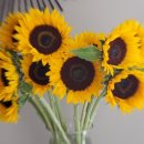 조산리 경로당 이미지