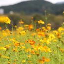 낙동강변22 이미지