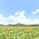 청송화원