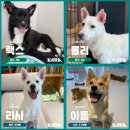 무화농장2 이미지