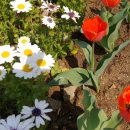 장자호수로 이미지