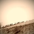 놀자꾸나 이미지