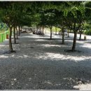 산내들 야영장 이미지