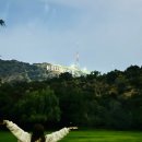 할리우드 이미지