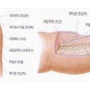 루트네일 이미지