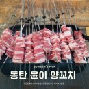 윤이양꼬치