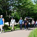 상동 호수공원 이미지