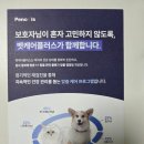 벳케어 | 펫 영양 종합검사 키트 후기｜벳케어플러스 모발 검사 진행 과정