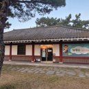 상록수로 이미지