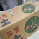 지해농장 네이버블로그