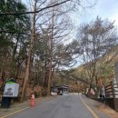 금오산(칼다봉)_숲길(등산)1코스 | 구미 금오산 등산후기 ㅣ 블랙야크100대명산