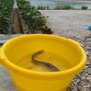 경호태권도교실 이미지