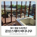 청루숲속의바다펜션 | [제주 아이와 숙소] 감성스테이 바다나무, 애월 독채 펜션 (자쿠지O)