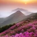 소답동212 이미지