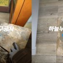 둥근섬로 이미지