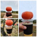 밤재농장 이미지