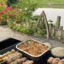 논산 탑정호글램핑 이미지