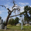 석장승(돌미륵) 이미지