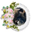 뽀샤시 - 전주시 완산구 거마중앙로 17 | 뽀샤시