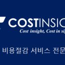 코스트인사이트주