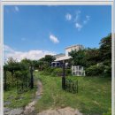 컴투펫 위탁보호센터 이미지