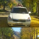 대성정비센터 이미지