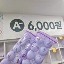 케이엘스포츠