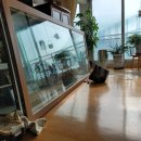 호계2동-1 이미지