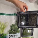 일품미소 | 포항 구룡포 미소과메기 내돈내산 택배 후기