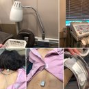 신영통경희한의원 이미지