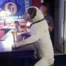 구일농장 이미지