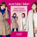 올큐레이터