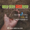춘천안식원 | 물이 찬 묘지, 춘천 산소 이장 유택동산에 모시기까지