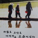 정재영농장 이미지