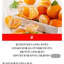 신진식품 이미지