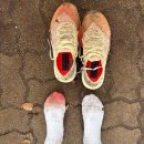 (주)알파미디어코리아 | 나이키 운동화 알파플라이3 사이즈 영혼을 담은 꿀팁과 장거리 포함 실착 3번 찐후기