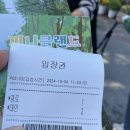 국화꽃향기 | 충남 아산 오천만송이 국화꽃향기 피나클랜드 수목원 방문 후기