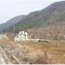 대연성심공인중개사사무소 네이버블로그