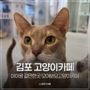 플레이문PC | 김포 아이랑 갈만한곳 고양이카페 시간 음료 게임 무제한 모여봐요고양이카페