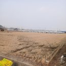 옥산신도시공인중개사사무소 이미지