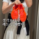 푸마 스피드캣 발렛 젤리슈즈 후기 | 블랙 살까, 레드 살까?