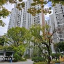 중앙동111 이미지