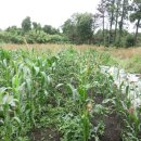 난산리마을회관 이미지