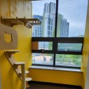 달빛냥살롱 이미지