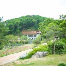 선이네민박 이미지