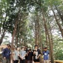 호박소가는길 이미지