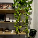 클로버. (clover)37 | 클로버커피로스터스 Clover Coffee Roasters｜용인 동백 카페 추천, 커피·베이커리 솔직 후기