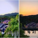 현플라워 이미지